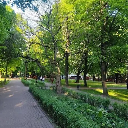 Loft Z Widokiem Na Warszawe Διαμέρισμα Βαρσοβία